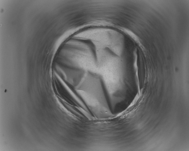 X0000065251335200603031754