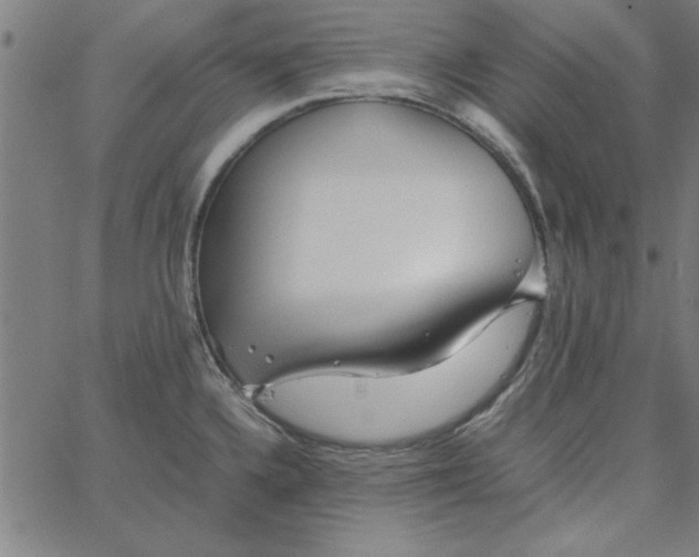 X0000065251336200603031754