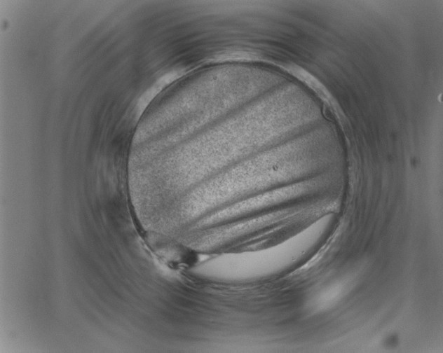 X0000065251337200603031754