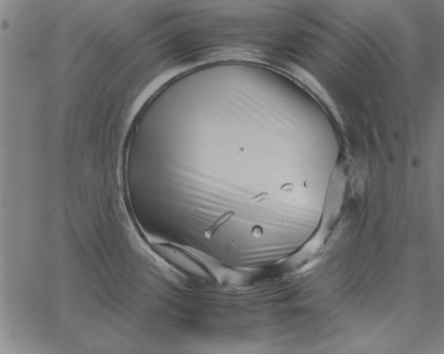 X0000065251339200603031754