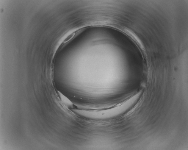 X0000065251340200603031754