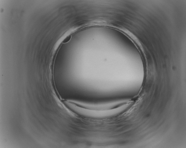 X0000065251341200603031754