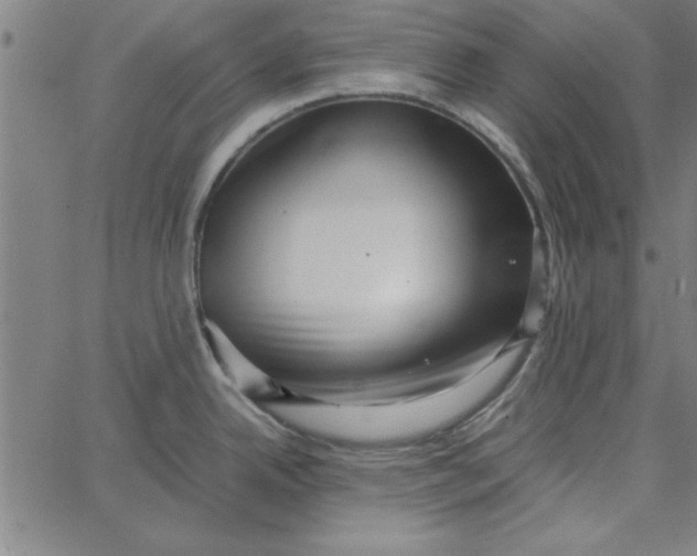 X0000065251342200603031754