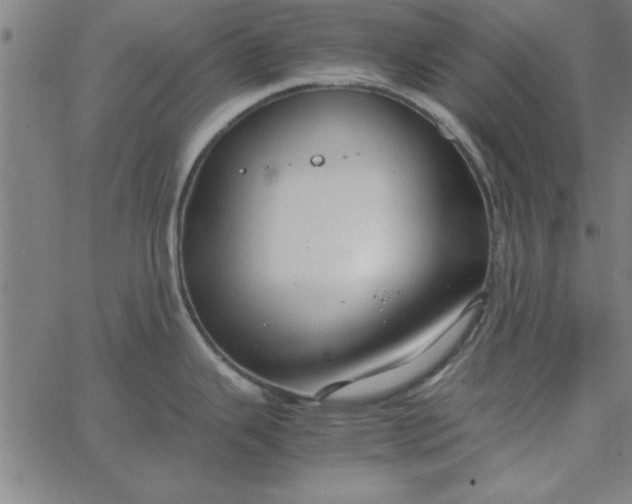 X0000065251343200603031754