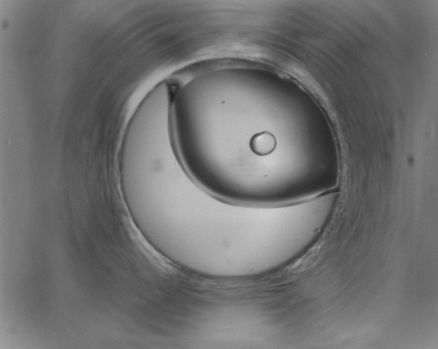 X0000065251344200603031754