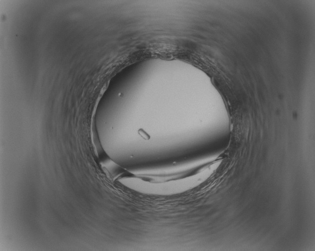 X0000065251345200603031753