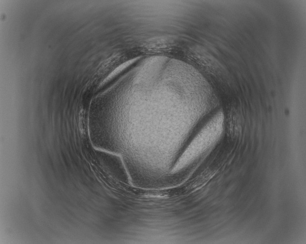 X0000065251346200603031753