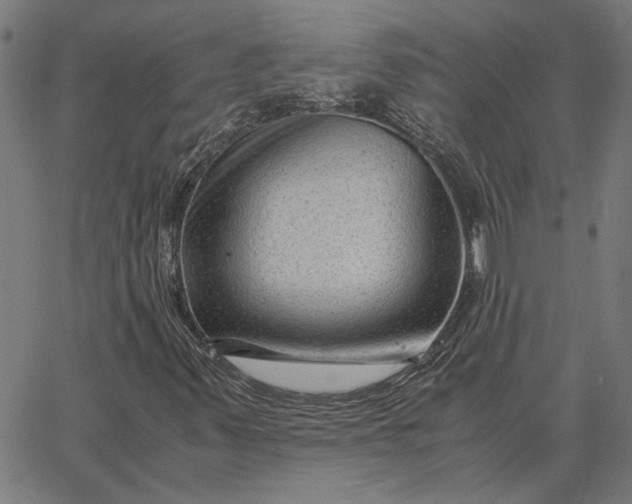 X0000065251347200603031753