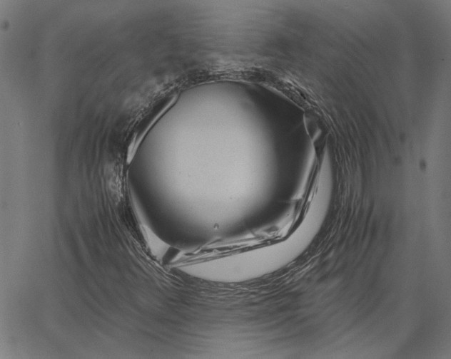 X0000065251348200603031753