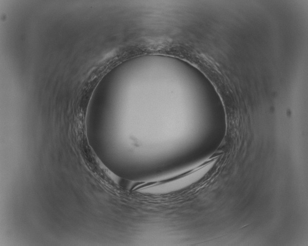 X0000065251349200603031753