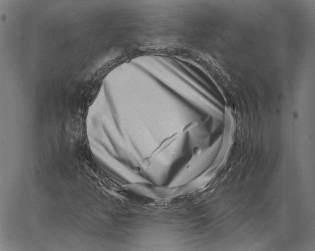 X0000065251350200603031753