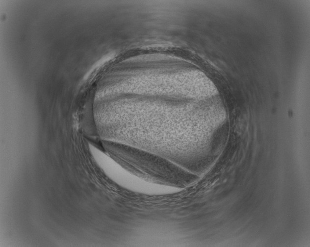 X0000065251351200603031753