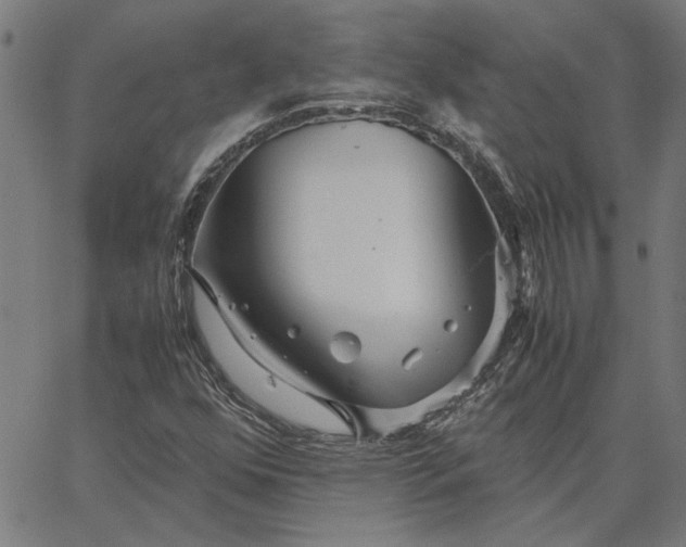 X0000065251352200603031753