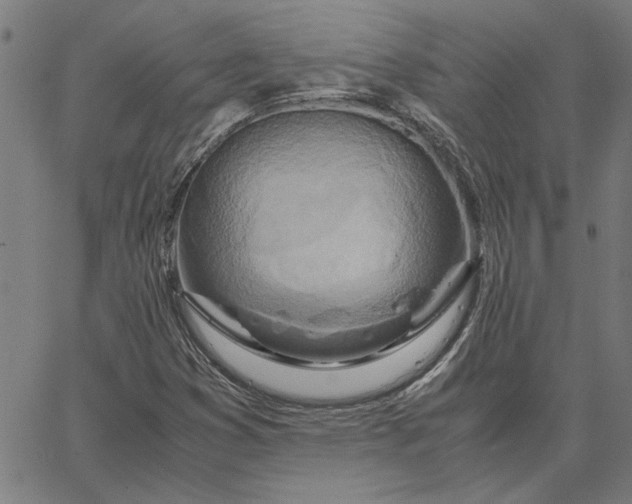 X0000065251353200603031753