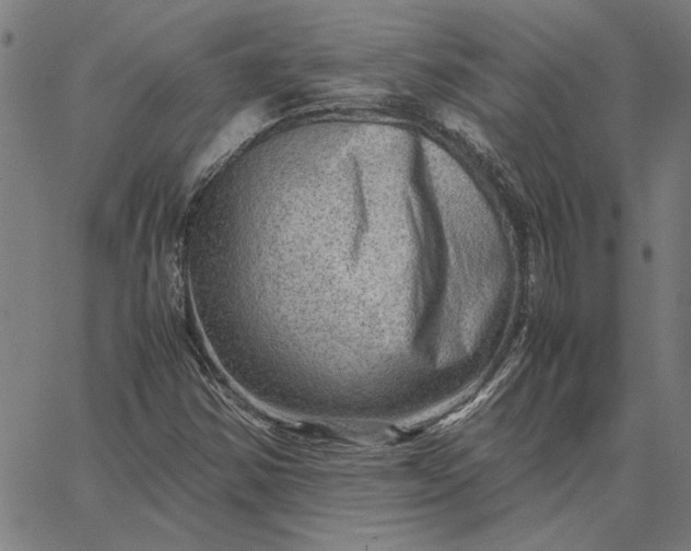 X0000065251354200603031753