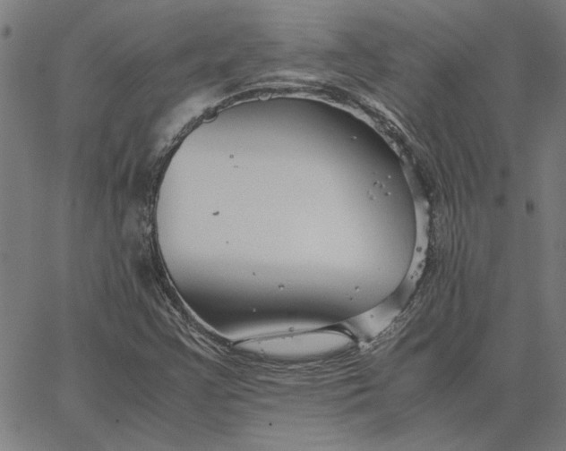 X0000065251355200603031753