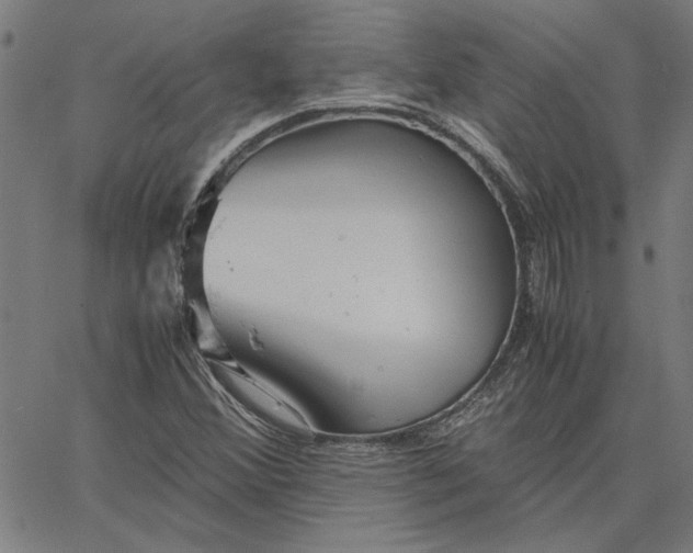 X0000065251356200603031753