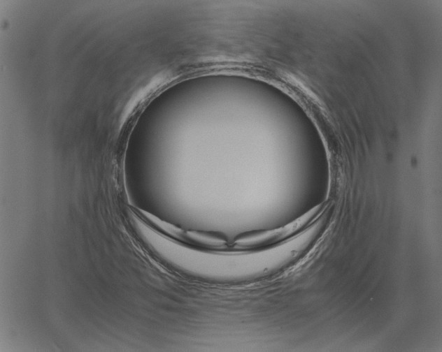 X0000065251357200603031753