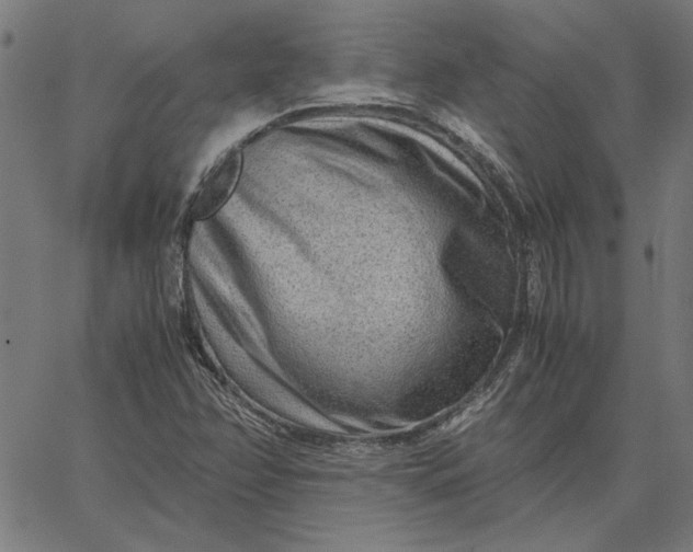 X0000065251358200603031753