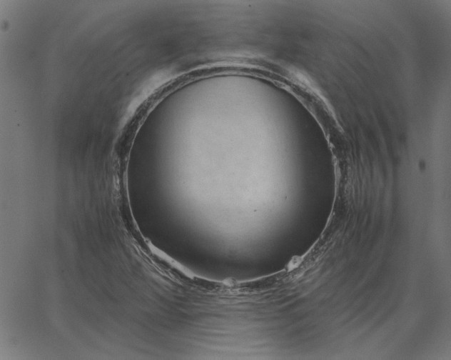 X0000065251360200603031753