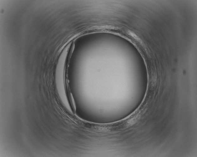 X0000065251361200603031753