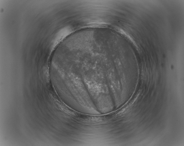 X0000065251362200603031753