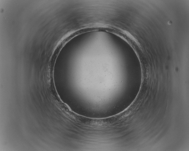 X0000065251364200603031753