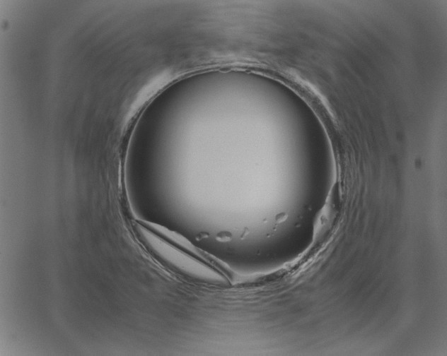 X0000065251365200603031753