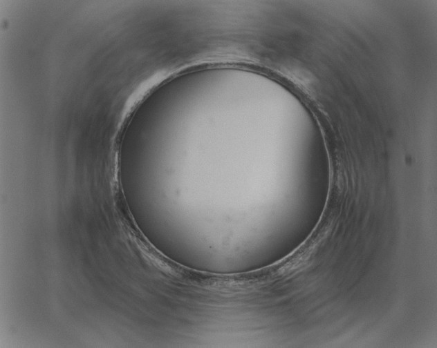 X0000065251366200603031753