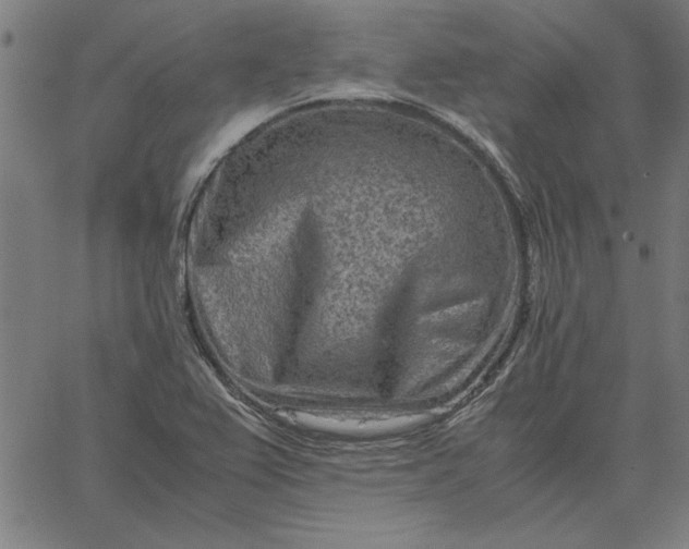 X0000065251367200603031753