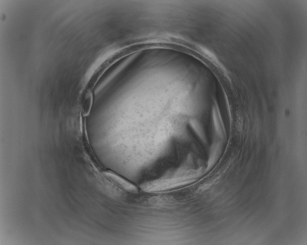 X0000065251368200603031753