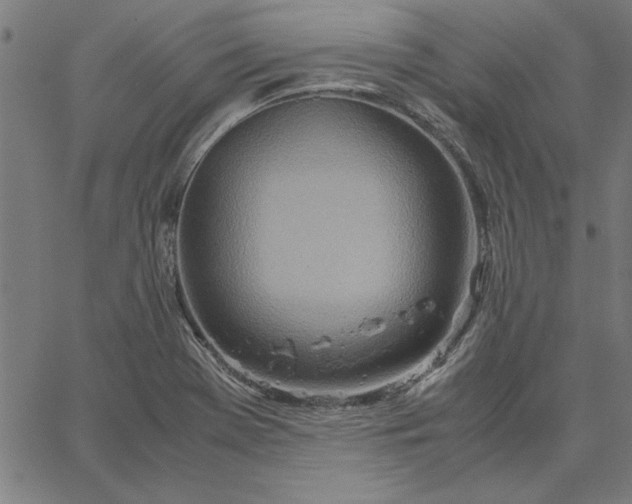 X0000065251369200603031753