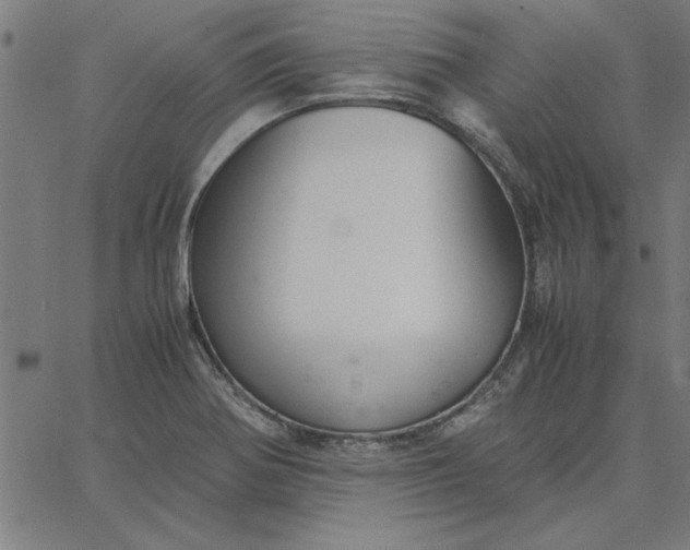 X0000065251370200603031753