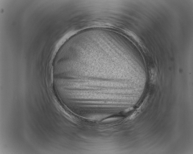 X0000065251371200603031753