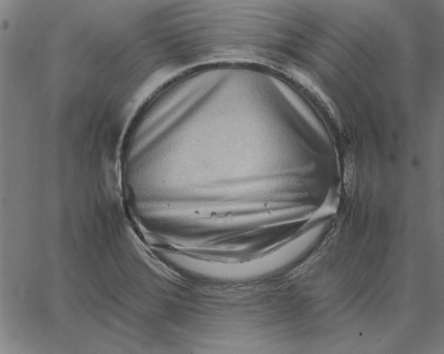 X0000065251372200603031753