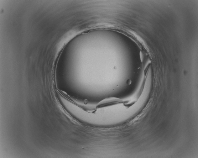 X0000065251373200603031753