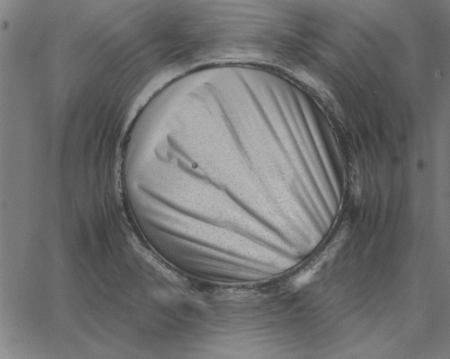 X0000065251374200603031753