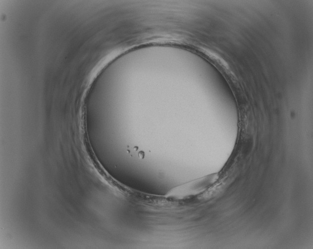 X0000065251375200603031753