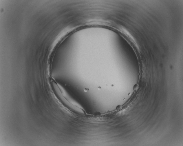 X0000065251376200603031753