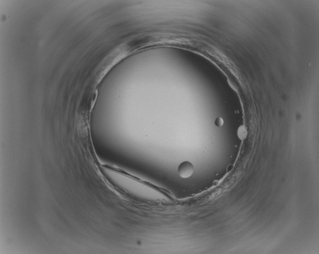 X0000065251377200603031753