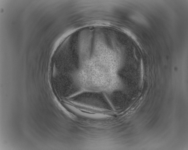 X0000065251379200603031753