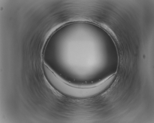 X0000065251380200603031753