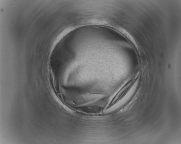 X0000065251381200603031753