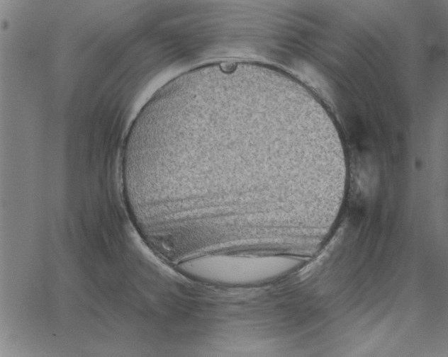 X0000065251382200603031753