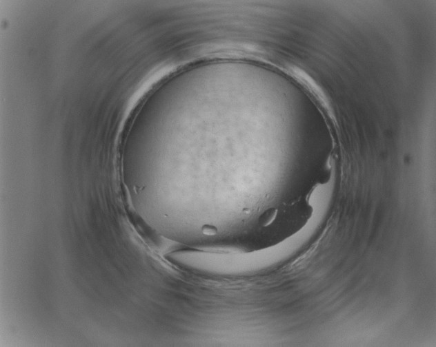 X0000065251384200603031753