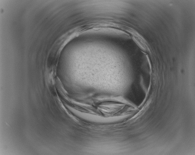 X0000065251385200603031753