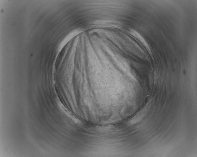 X0000065251386200603031753