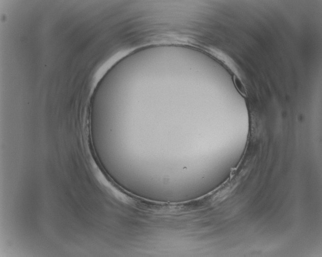 X0000065251387200603031752