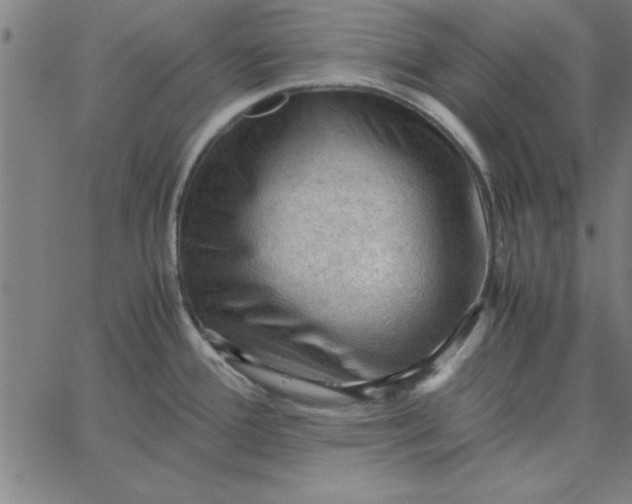 X0000065251388200603031752