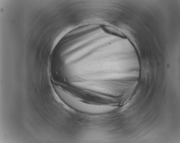 X0000065251390200603031752